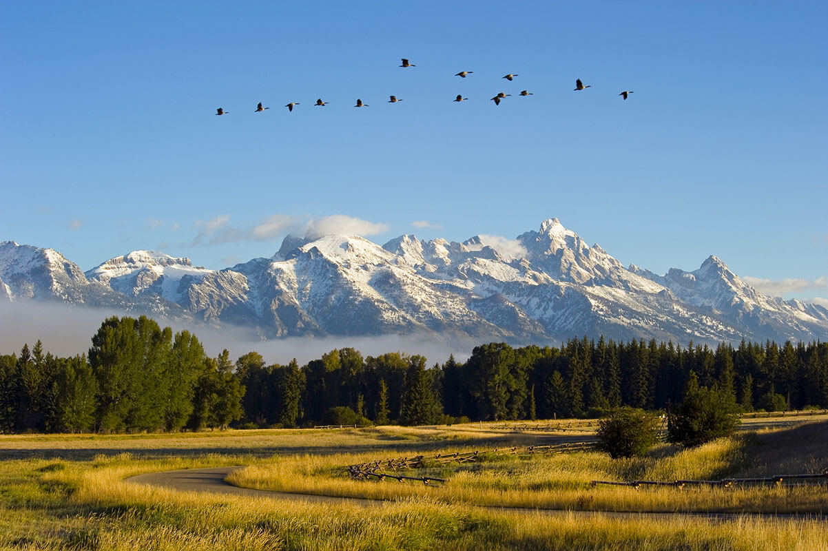 Ranchland and snow-covered mountains in Jackson Hole, Wyoming — the site of a Hillwood Residential development.